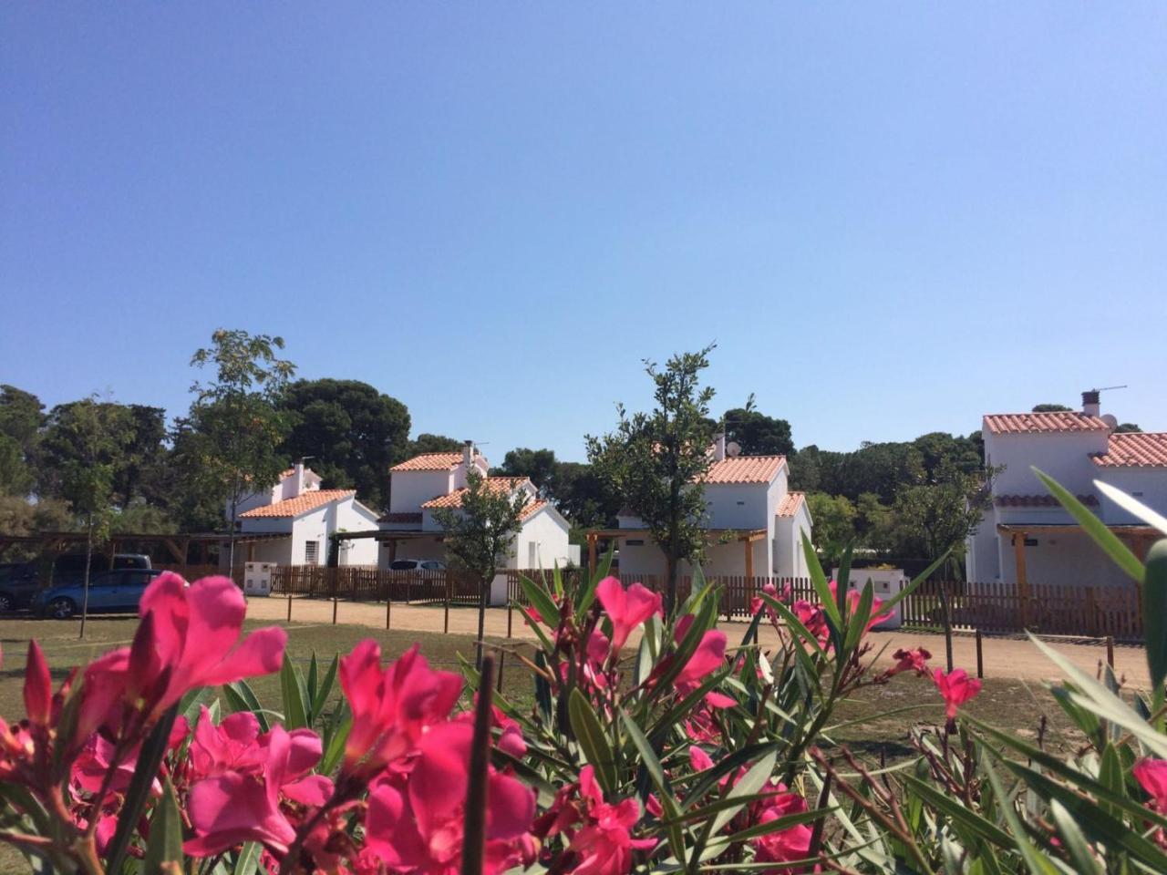 Villas Empuries, Garden & Private Pool 산트마르티 뎀푸리에스 외부 사진